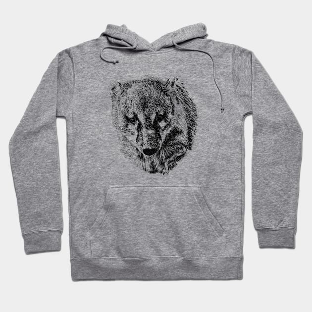 Coati Hoodie by Guardi